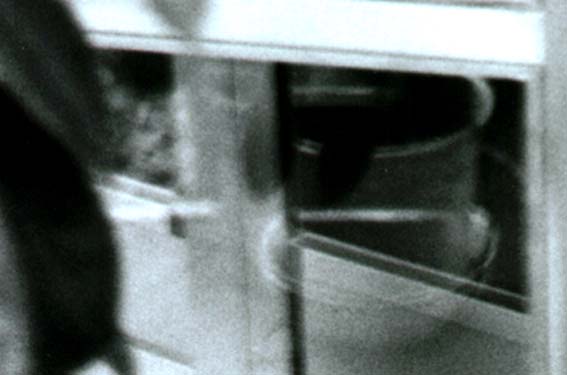 a1.JPG (23801 byte)