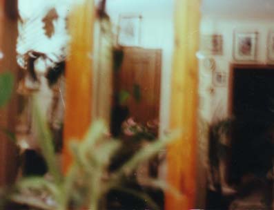 c.JPG (15067 byte)